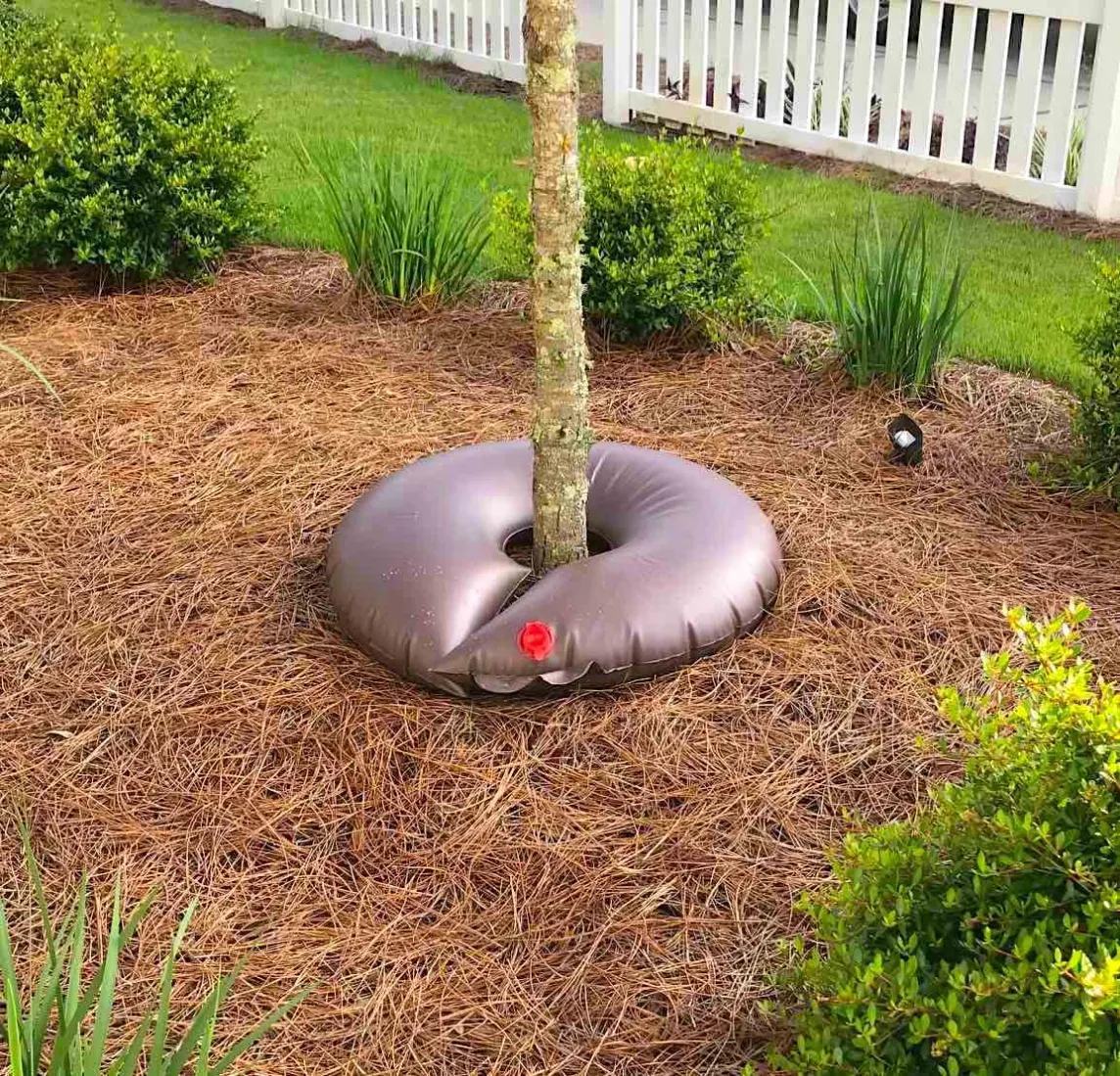 Tree donut for watering trees