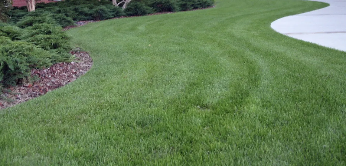 Commercial Grade Landscape Edging