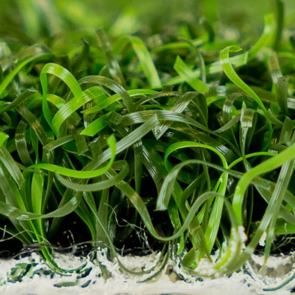 Nylon Putt 2 Tone Close Up