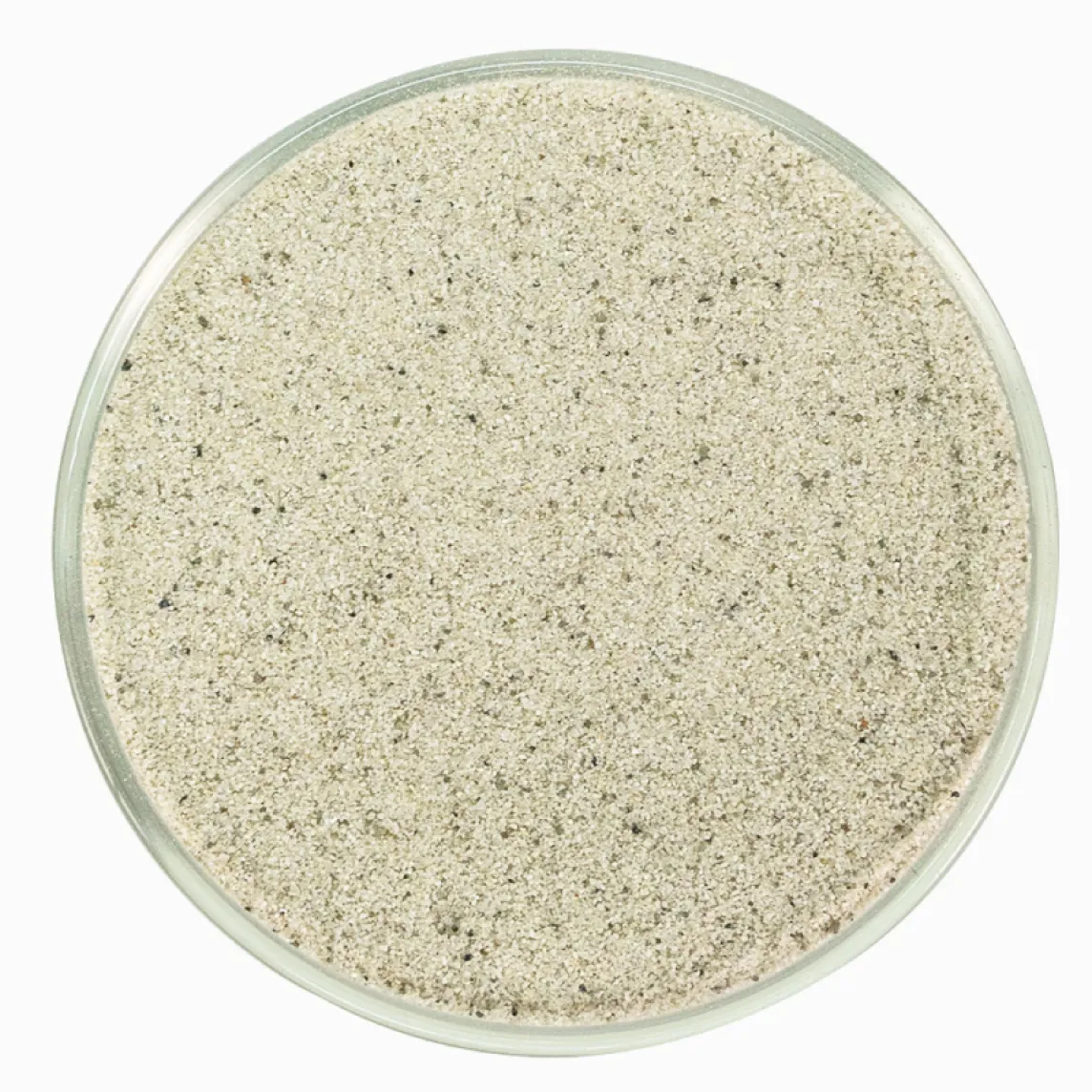 Artificial Turf Infill Silica Sand Top View