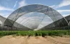 Woven Shade Cloth Rounded Green House Application