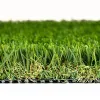 Diamond Light Fescue Turf Profile