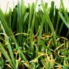 Diamond Light Fescue Turf Closeup